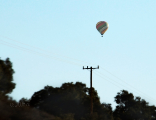 Hot Air Balloon Santa Ynez Valley