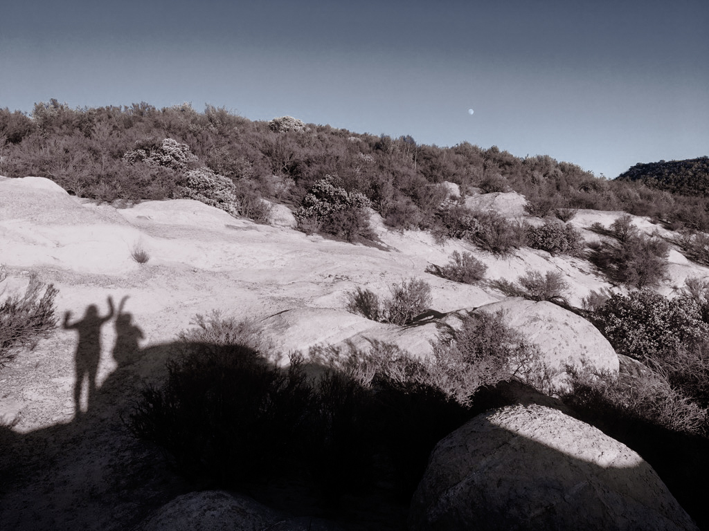 shadows of two females on top of a boulder, shrubs and moon in the distance